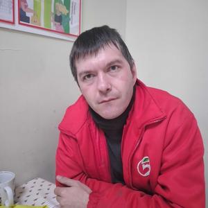 Санек, 39 лет, Липецк