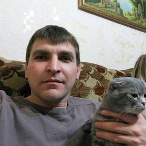 Василий, 43 года, Георгиевск