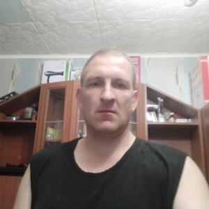 Сергей, 41 год, Киржач