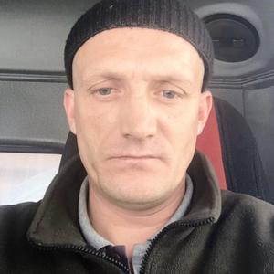 Алексей, 43 года, Чебаркуль