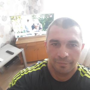 Вадим, 41 год, Тула