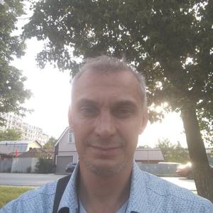 Алексей Шишин, 45 лет, Тула