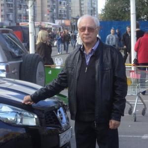 Александр Шпачинский, 75 лет, Армавир