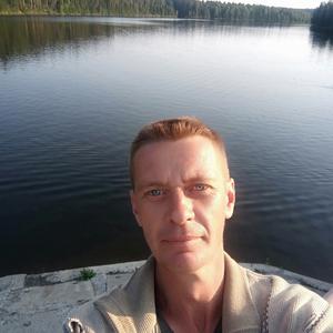 Николай, 42 года, Верхний Уфалей