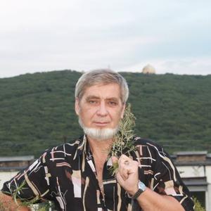 Андрей Слюсарь, 67 лет, Владивосток