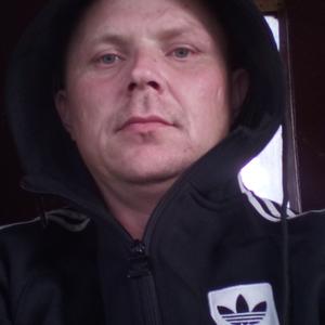 Андрей, 36 лет, Йошкар-Ола