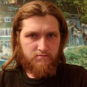 Геннадий, 35 лет, Плавск
