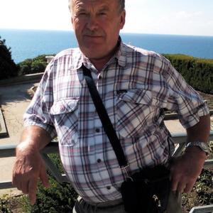 Viktor Levin, 66 лет, Комсомольск-на-Амуре