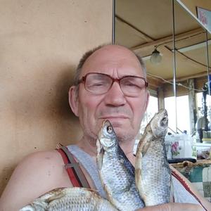 Юрий Карманов, 78 лет, Смоленск