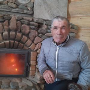 Василий Бобров, 73 года, Горно-Алтайск
