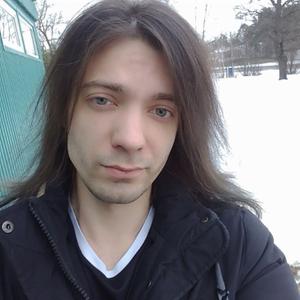 Артем, 30 лет, Сестрорецк