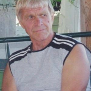 Александр, 66 лет, Мичуринск