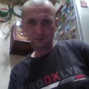 Парни в Вологде: Николай, 40 - ищет девушку из Вологды