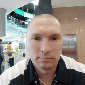 Роман, 42 года, Мурманск