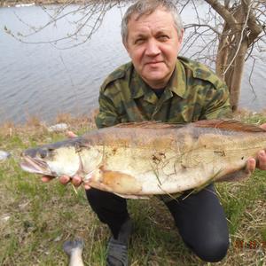 Александр, 66 лет, Нижний Новгород