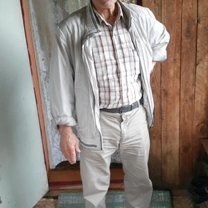 Василий, 72 года, Красноярск