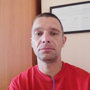 Денис, 37 лет, Тамбов