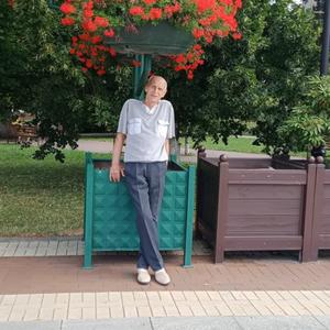Александр, 67 лет, Челябинск