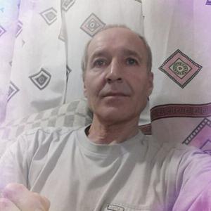 Виктор Григорьев, 72 года, Зеленогорский