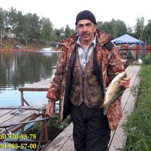 Александр, 65 лет, Мытищи