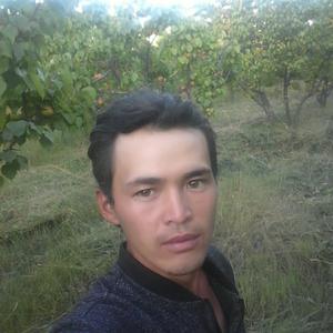Бек, 35 лет, Кыргыз-Ата