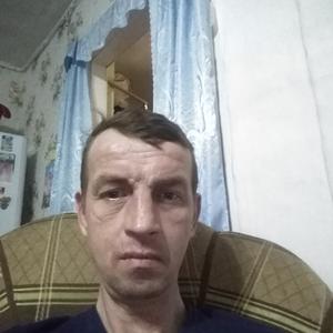 Анатолий, 47 лет, Нижний Новгород