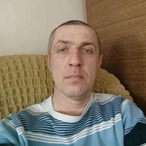 Владимир, 45 лет, Кольчугино