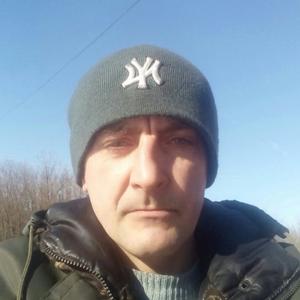 Дима, 43 года, Тула