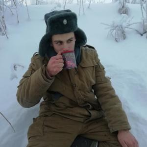 Николай, 25 лет, Архангельск