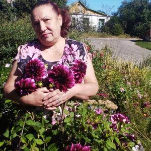 Elena, 68 лет, Железногорск