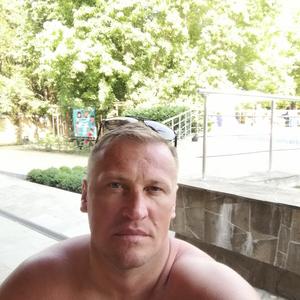 Илья, 41 год, Губкинский