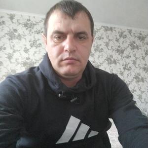 Андрей, 36 лет, Курган