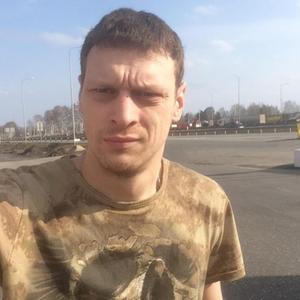 Никита Писаренков, 34 года, Пушкин