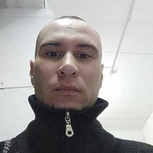 Иван, 34 года, Боровичи