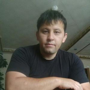 Сергей, 39 лет, Кольчугино
