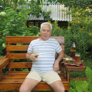Валерий, 63 года, Тольятти