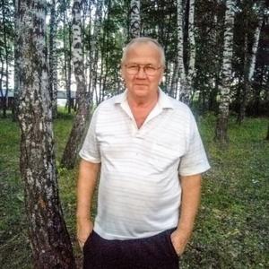Владимир Данилов, 66 лет, Тула