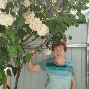 Елена Кудрявцева, 64 года, Пенза