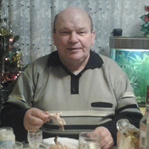 Александр, 69 лет, Чебоксары