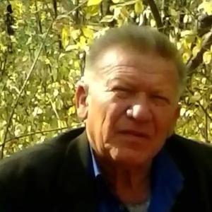 Григорий, 71 год, Тольятти