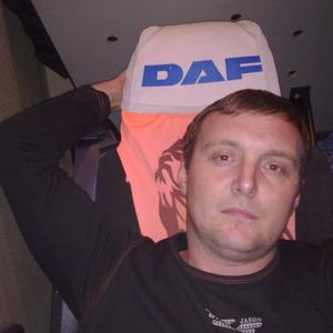 Алексей Власенко, 43 года, Сальск