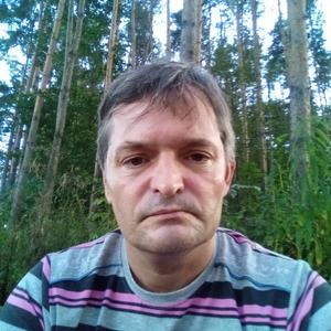Лизун, 51 год, Подольск