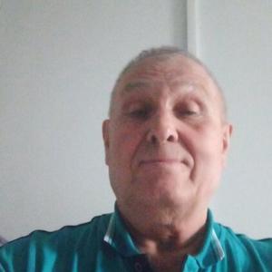 Владимир, 69 лет, Тенекаево