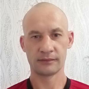 Василий, 40 лет, Ивантеевка