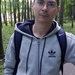 Алексей Павлунин, 38 лет, Саранск