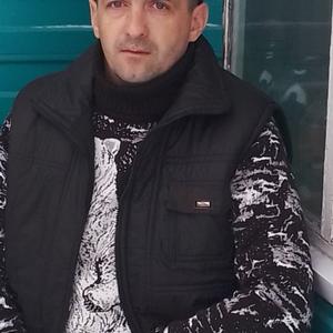 Анатолий Вдовенко, 39 лет, Рубцовск