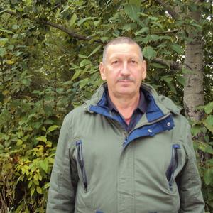 Геннадий, 64 года, Северск