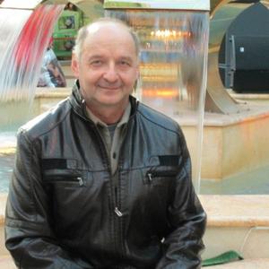 Виктор Комаров, 65 лет, Савино