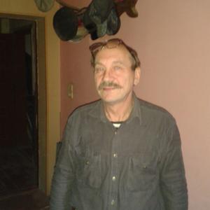 Виктор Шевцов, 76 лет, Москва
