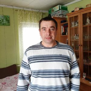 Александр, 40 лет, Ногинск